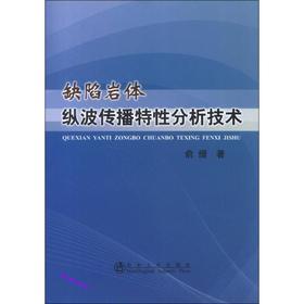 缺陷岩体纵波传播特性分析技术/俞缙