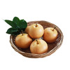 合作产品/ 有机黄金梨（基地直发）全国包邮，偏远地区除外 商品缩略图8