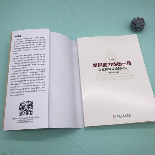 组织能力的杨三角：企业持续成功的秘决 第2版 商品图4