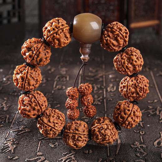 六鑫珠宝  尼泊尔六瓣满肉双龙纹大金刚菩提子手串+牛骨三通 19-20mm 商品图0