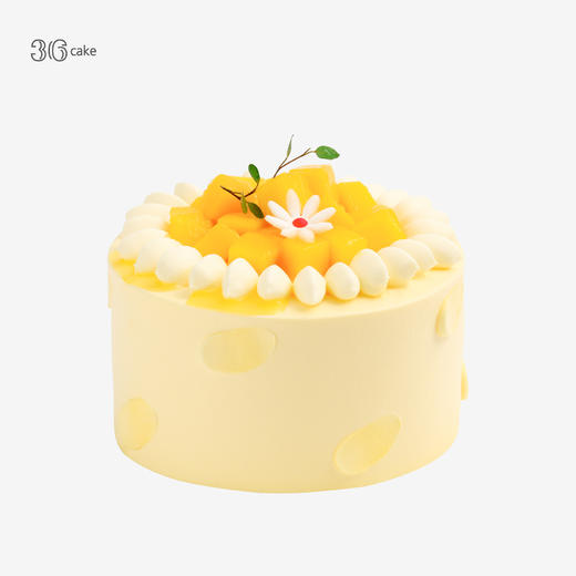 迷你多肉蛋糕三选一，可选4英寸 商品图4