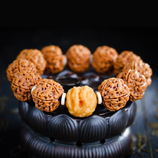 六鑫珠宝 尼泊尔五瓣满肉双龙纹大金刚菩提子 + 貔貅白玉菩提根手串  20mm 商品图1