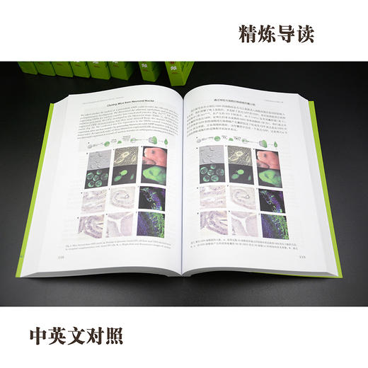 《自然》百年科学经典(英汉对照平装版)第十卷上(2002-2007) 商品图1