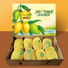 【欢乐果园】四川攀枝花精选 礼盒装 凯特芒特大果5/10斤  精装应季水果芒果产地直发