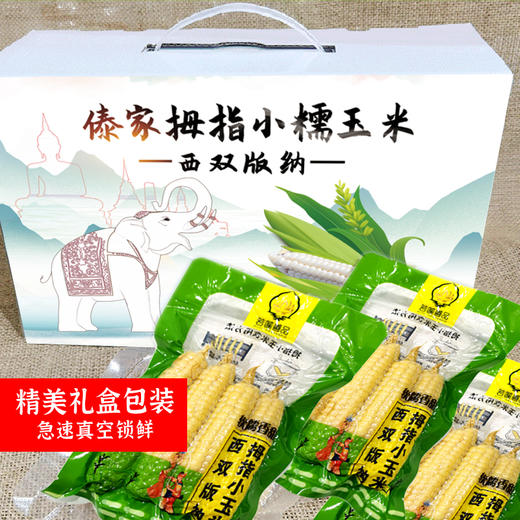 西双版纳傣家拇指糯玉米 商品图3
