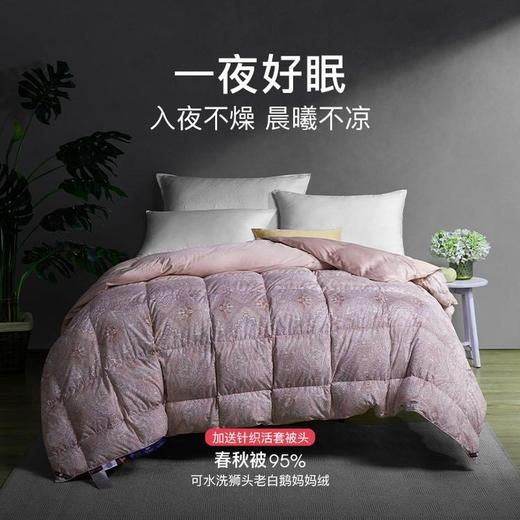 【春上新】 10楼 宜庭 安妮娅可水洗95%狮头老白鹅鹅绒春秋被 吊牌价5999~9999元 
 活动价1999~2999元 商品图0