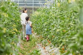  为什么我们要选择有机的生活方式？ 