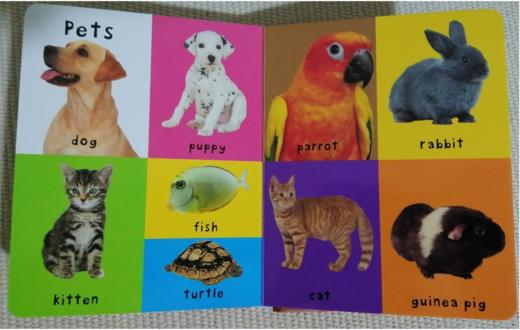 主题六 有关Pets的儿歌 商品图0