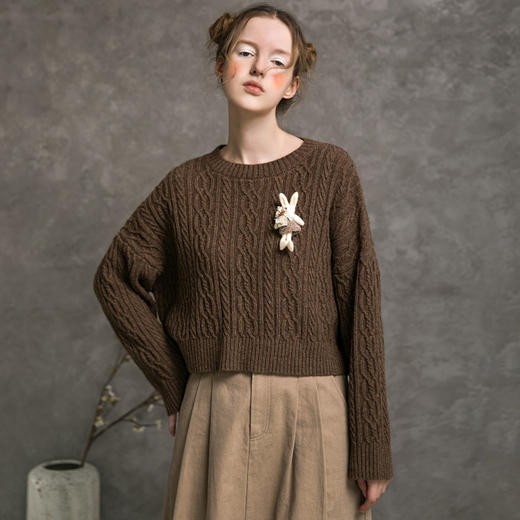 famecoco范可儿圆领毛衣女士绞花肌理短款宽松羊毛上衣F216DB011 商品图0