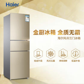 海尔（Haier）冰箱BCD-216WMPT