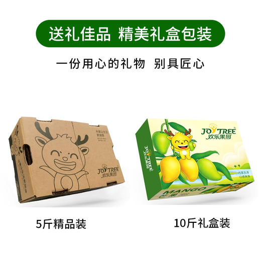 【欢乐果园】四川攀枝花精选 礼盒装 凯特芒特大果5/10斤  精装应季水果芒果产地直发 商品图2