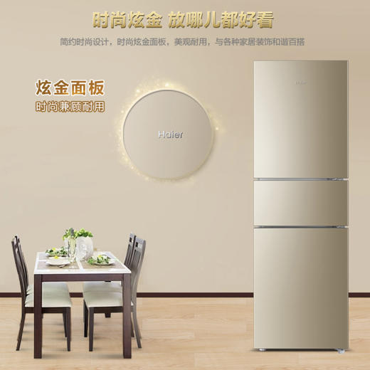 海尔（Haier）冰箱BCD-216WMPT 商品图1