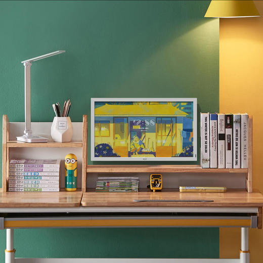 京东方BOE画屏E2/E1S类纸护眼网课学习屏低蓝光无频闪在线教育网课显示器21.5英寸 商品图12