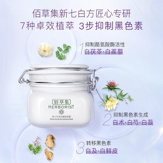 佰草集大白泥新七白嫩肤面膜500g 商品图4