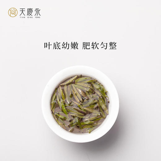 【天庆永】茗茶 白毫银针白茶 三角茶包 4g/颗x10/罐 商品图4
