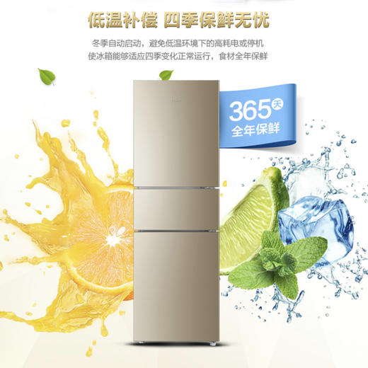 海尔（Haier）冰箱BCD-216WMPT 商品图6