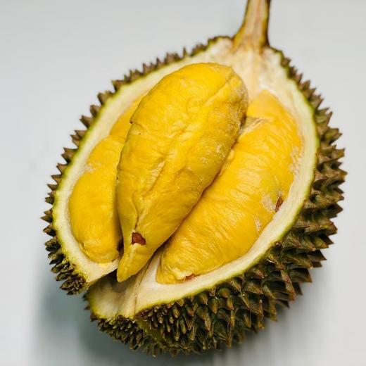 马来西亚液氮D197猫山王（单颗3-5斤多退少补） 商品图0