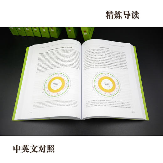 《自然》百年科学经典(英汉对照平装版)第九卷上(1998-2001) 商品图2