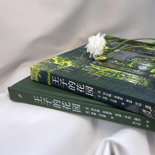 王子的花园 精装 3001028 商品图4