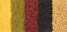 干货：营养师教你科学选择主食，只需3招