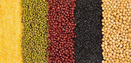 干货：营养师教你科学选择主食，只需3招 商品图0