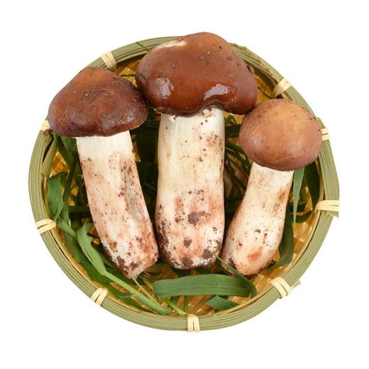球盖菇 约100g/份（球盖菇） 商品图1