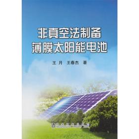 非真空法制备薄膜太阳能电池/王月 王春杰