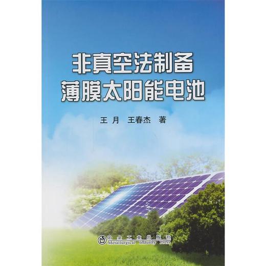 非真空法制备薄膜太阳能电池/王月 王春杰 商品图0