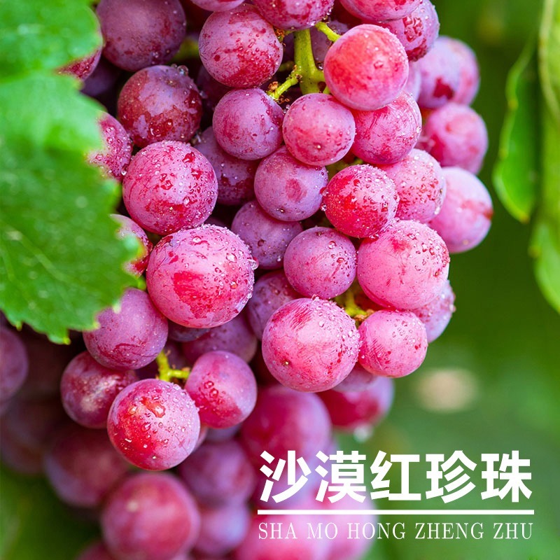 新疆吐鲁番沙漠火焰红珍珠陆地葡萄皮薄脆甜玻璃翠新鲜水果整箱4斤