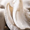 平菇 约150g/份（菇类） 商品缩略图3
