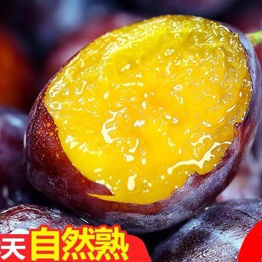 【排单发货】新疆喀什正宗法南西 小西梅 3斤/4斤（挑软的先吃） 商品图3