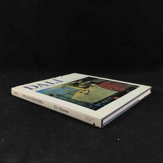 达利画集 48幅彩色插图 精装大16开 商品图1