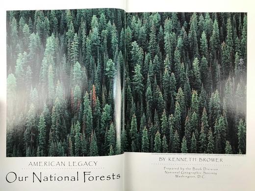 美国国家森林图集 百余幅彩色插图 精装16开 商品图2