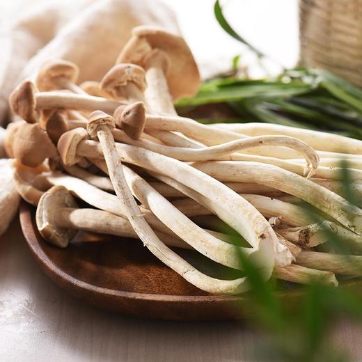 茶树菇 150g/份 商品图3