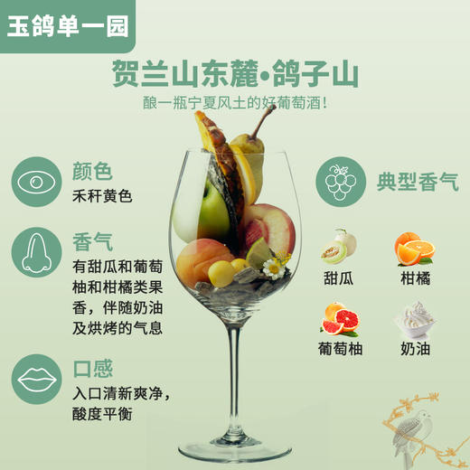 玉鸽单一园霞多丽干白葡萄酒 商品图3