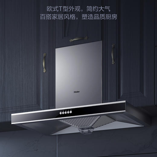 海尔（Haier）烟机CXW-200-E900T2S 商品图10