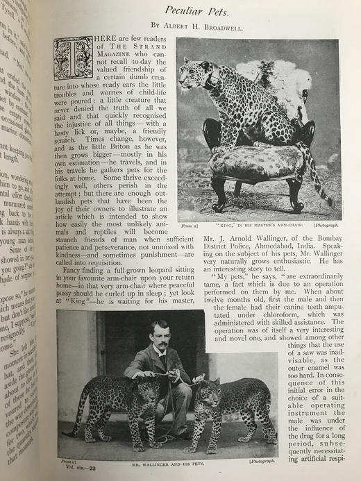 1900年1-6月 河滨杂志 数百幅插图 真皮精装18开 商品图5