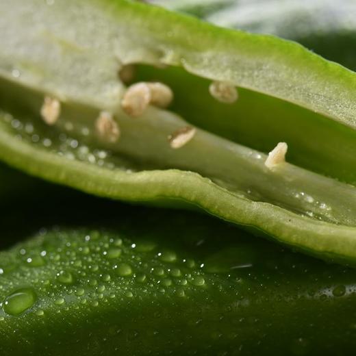 大凉山大青椒 约200g/盒 辣椒 商品图3