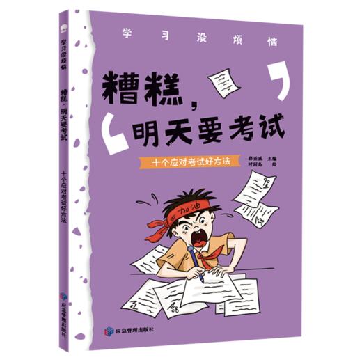 【适合6-12岁】学习没烦恼（全10册）100个大笑故事100个好玩的方法 帮助孩子解决学习中的难题 商品图14
