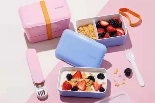 DELONGHI/TAKENAKA饭盒 商品图0