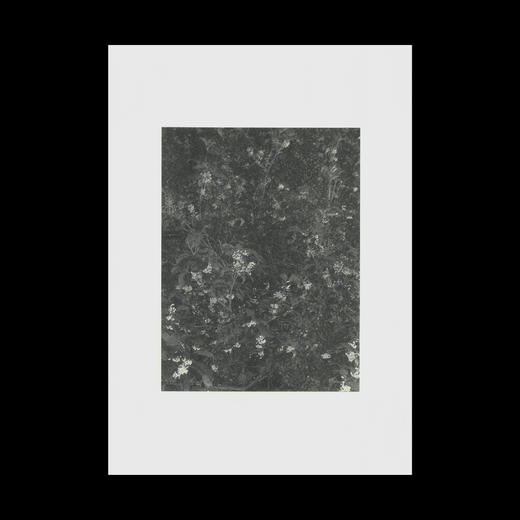 斯嘉仪：星期天我将以别人的名义去公园 商品图1