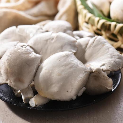 平菇 约150g/份（菇类） 商品图2