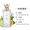 价值905 温柔半两，从容一生！BVL*ARI/宝G丽茗珍中性古龙水白茶雅韵75ml 纯净宁谧 从清冷到柔和 淡然清雅 预售 商品缩略图6