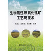 生物质还原氧化锰矿工艺与技术/朱国才 冯秀娟 张宏雷 商品缩略图0