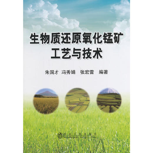 生物质还原氧化锰矿工艺与技术/朱国才 冯秀娟 张宏雷 商品图0