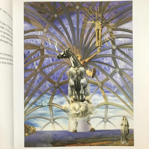 达利画集 48幅彩色插图 精装大16开 商品图6