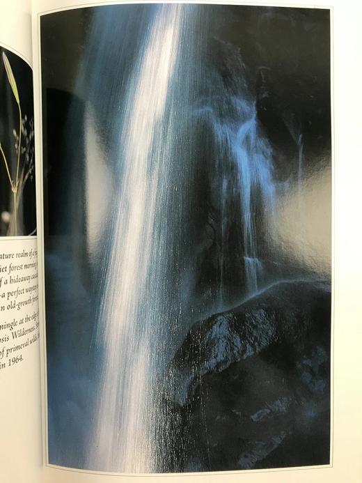 美国国家森林图集 百余幅彩色插图 精装16开 商品图7