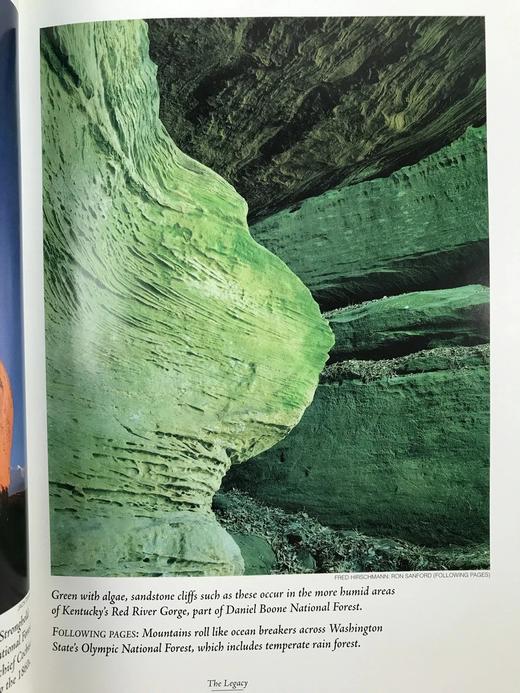 美国国家森林图集 百余幅彩色插图 精装16开 商品图12