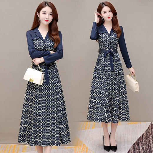 YWE  ALLJ21B07D气质优雅阔太太长袖印花连衣裙 商品图0