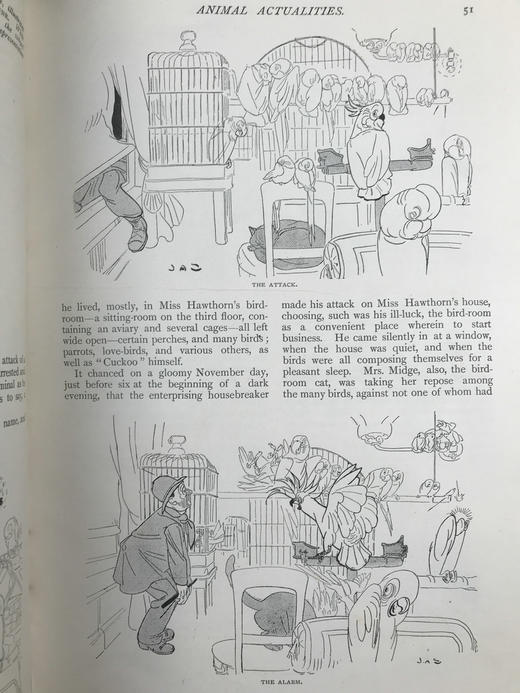 1900年1-6月 河滨杂志 数百幅插图 真皮精装18开 商品图11